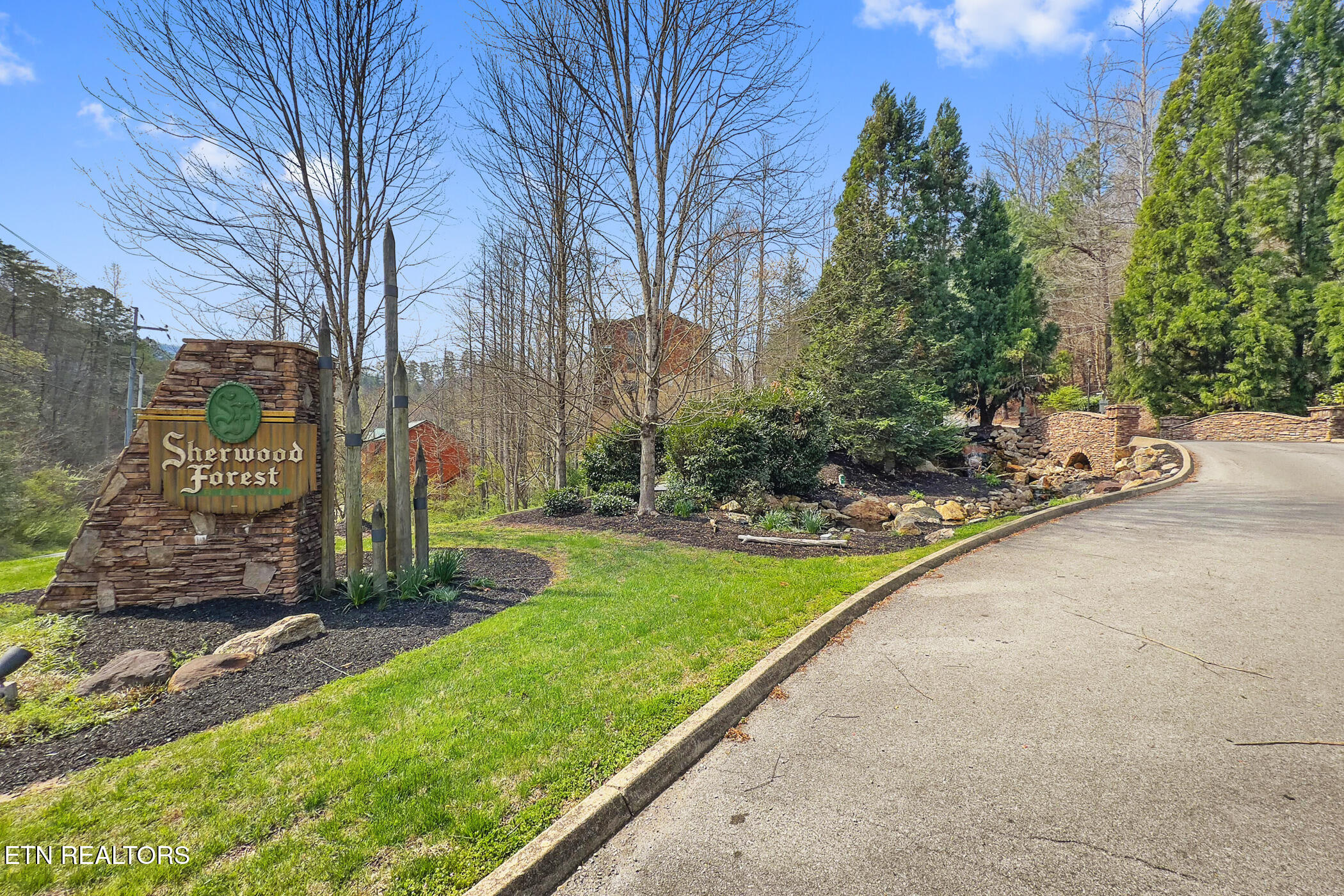 4359 Forest Ridge Way Pigeon Forge, TN 37863 - Photo 49 of 51 img_9450