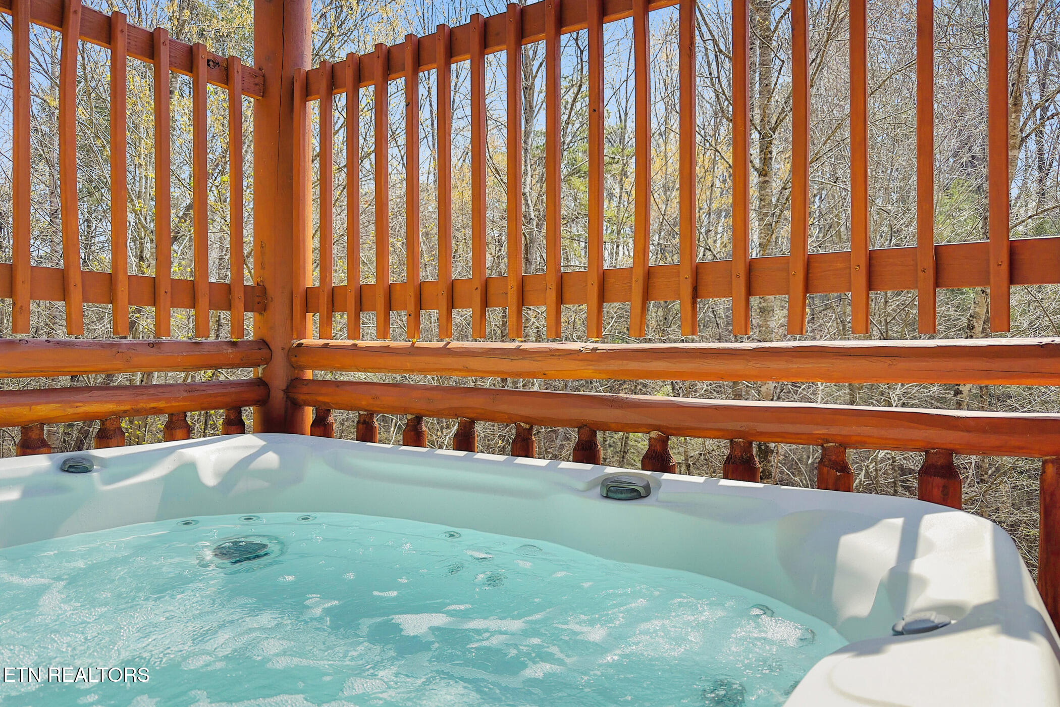 4359 Forest Ridge Way Pigeon Forge, TN 37863 - Photo 5 of 51 img_9464