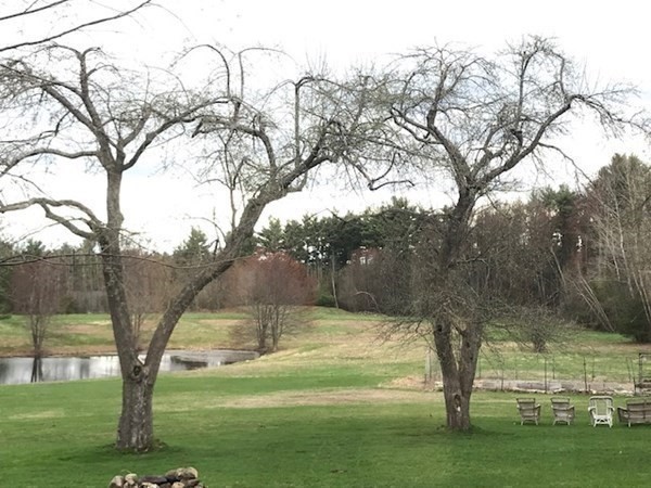 359 Old Littleton Road Harvard, MA 01451 - Photo 32 of 41 Gallery Image 32