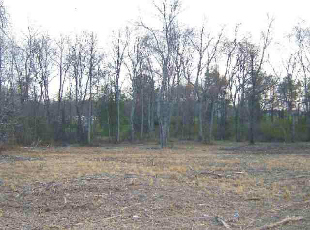 Lot 12 Pineland Meadows Road Belton, SC 29627 - Photo 4 of 8 Gallery Image 4