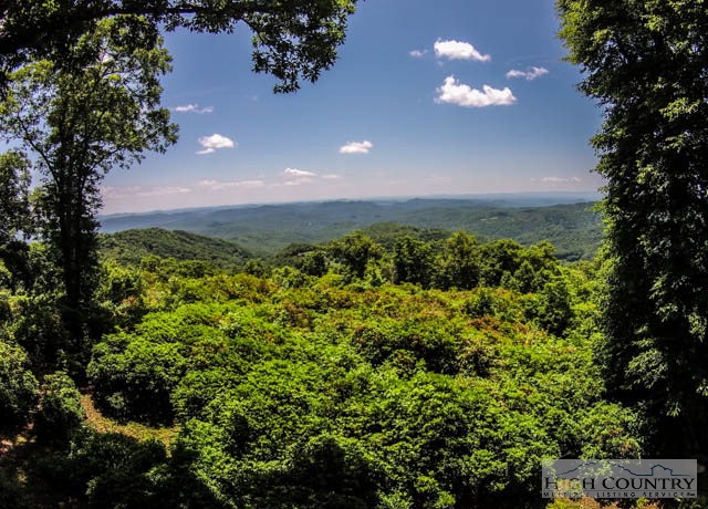 137 Strawberry Path Boone, NC 28607 - Photo 36 of 42 Gallery Image 36