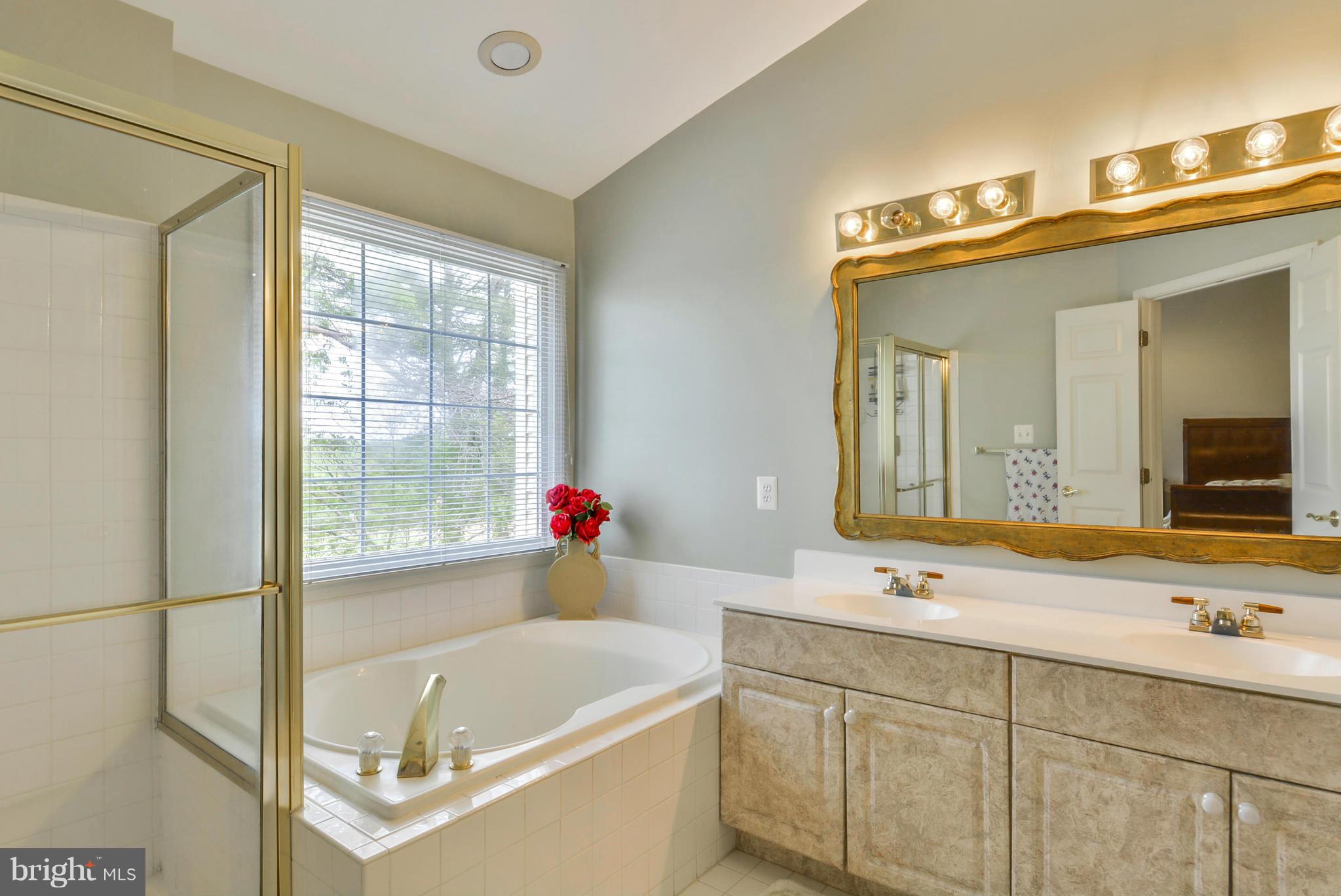 8520 Bells Ridge Terrace Potomac, MD 20854 - Photo 18 of 30 Master w oversized soaking tub