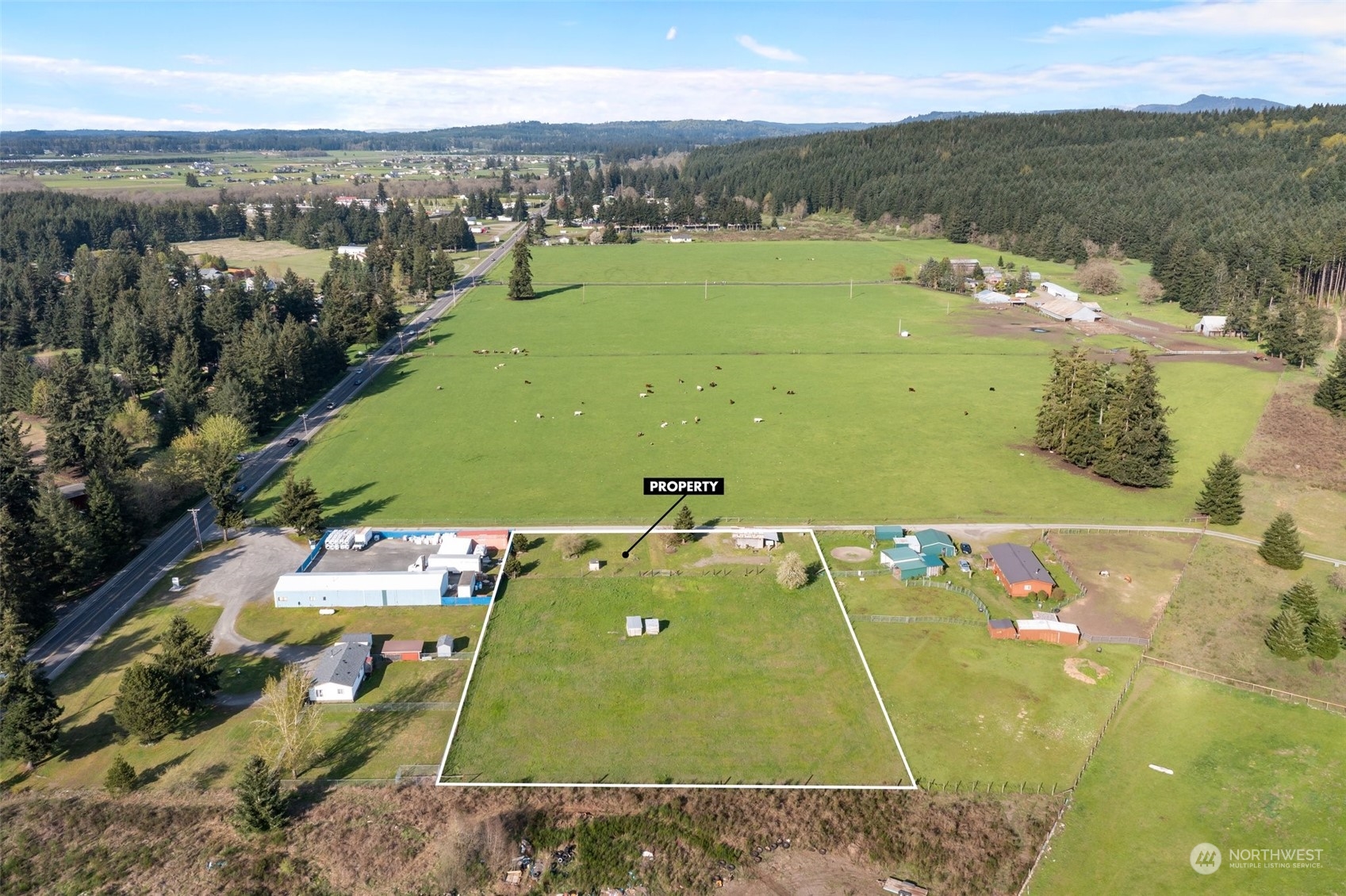 18626 Old Highway 99 Southwest Rochester, WA 98579 - Photo 6 of 20