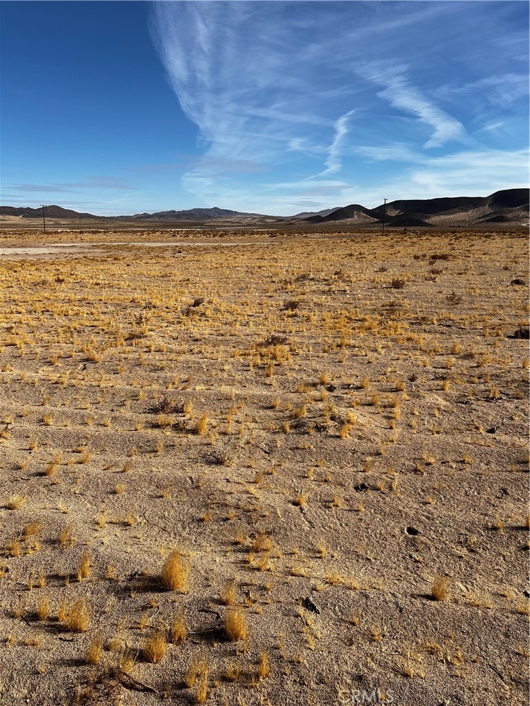 49652 Silver Valley Road Newberry Springs, CA 92365 - Photo 3 of 4