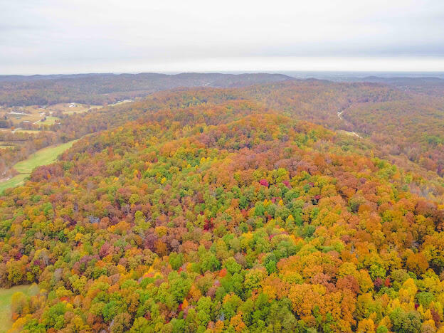 514 Deer Valley Road Berea, KY 40403 - Photo 63 of 83 5E1B9C36-7F4B-416F-A8B9-6633D567B4DF