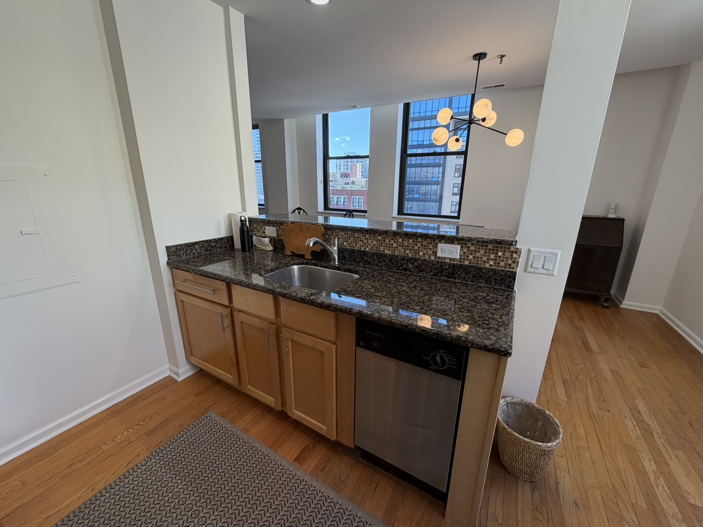 640 South Federal Street, Unit 808 Chicago, IL 60605 - Photo 6 of 33