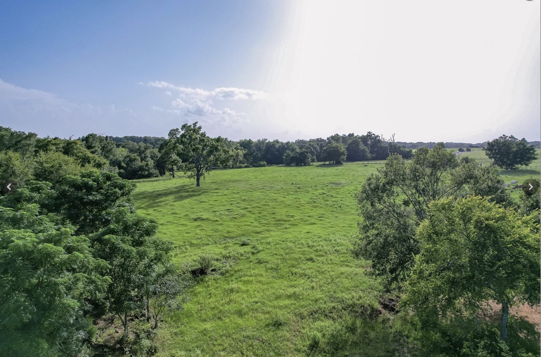 6388 Red Rock Road Franklin, TX 77856 - Photo 3 of 6 a view of a field with a tree in the background