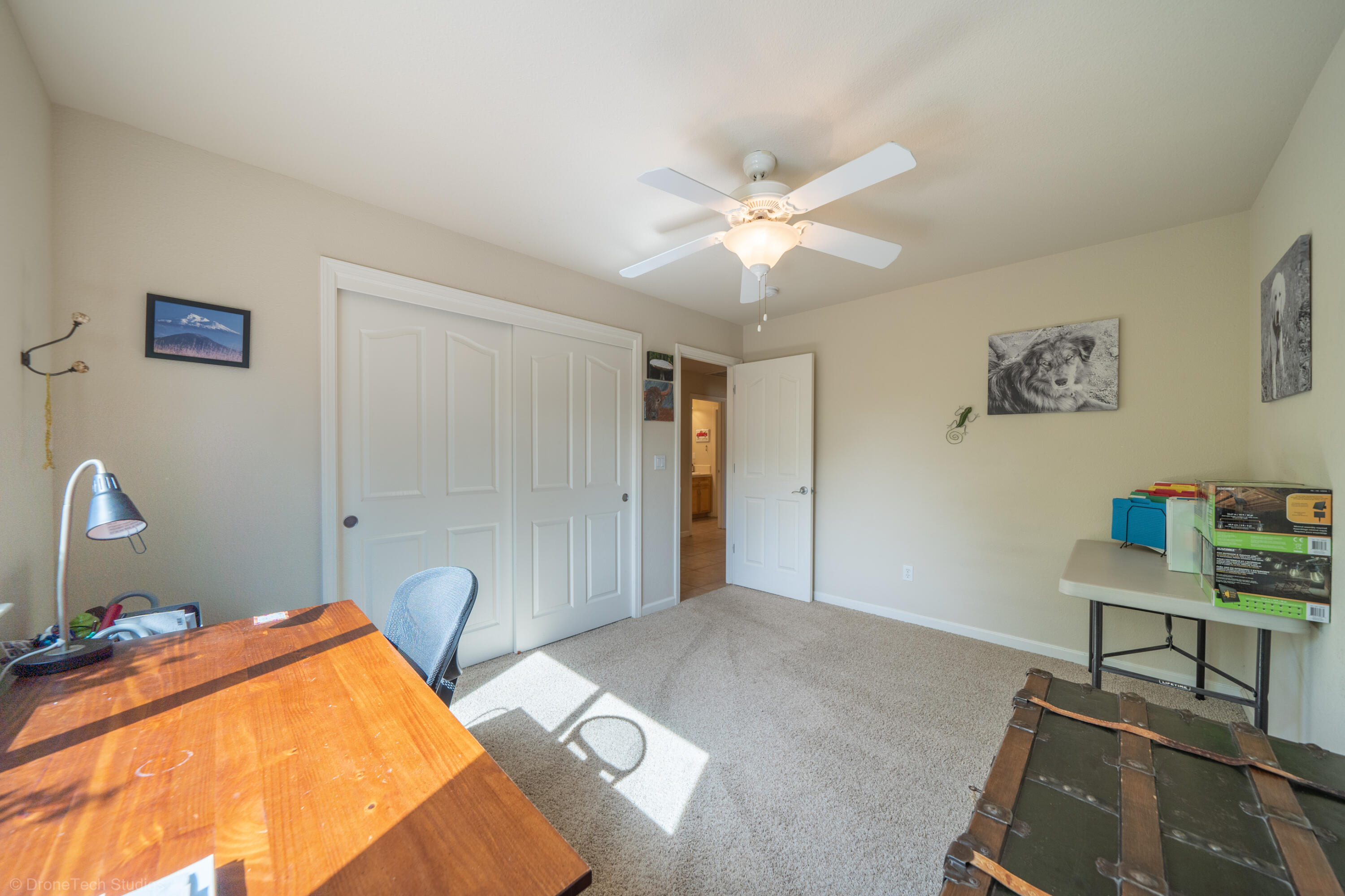 16671 Power Line Road Redding, CA 96001 - Photo 23 of 105 Ceiling fan