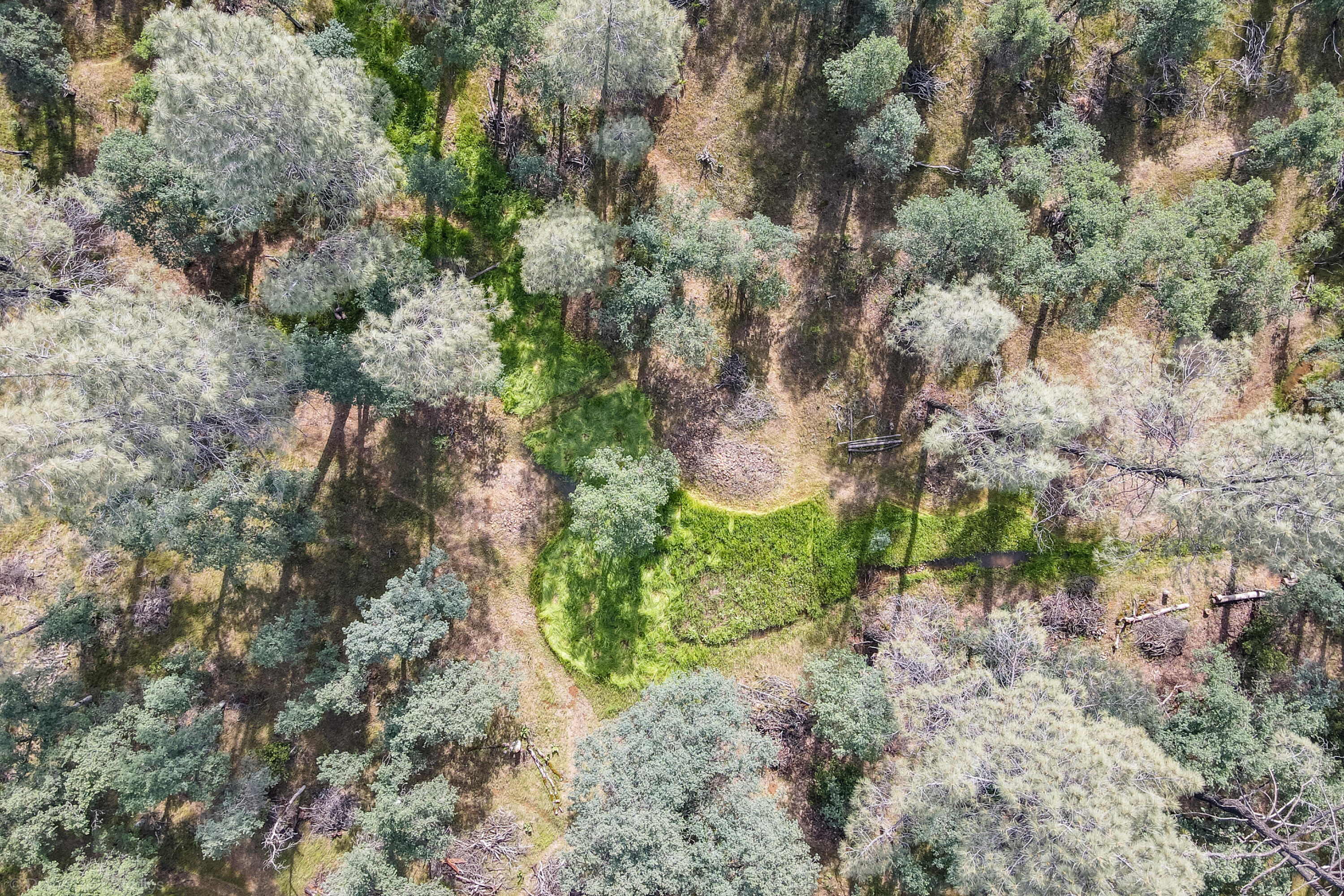 16671 Power Line Road Redding, CA 96001 - Photo 86 of 105 Meadow from above