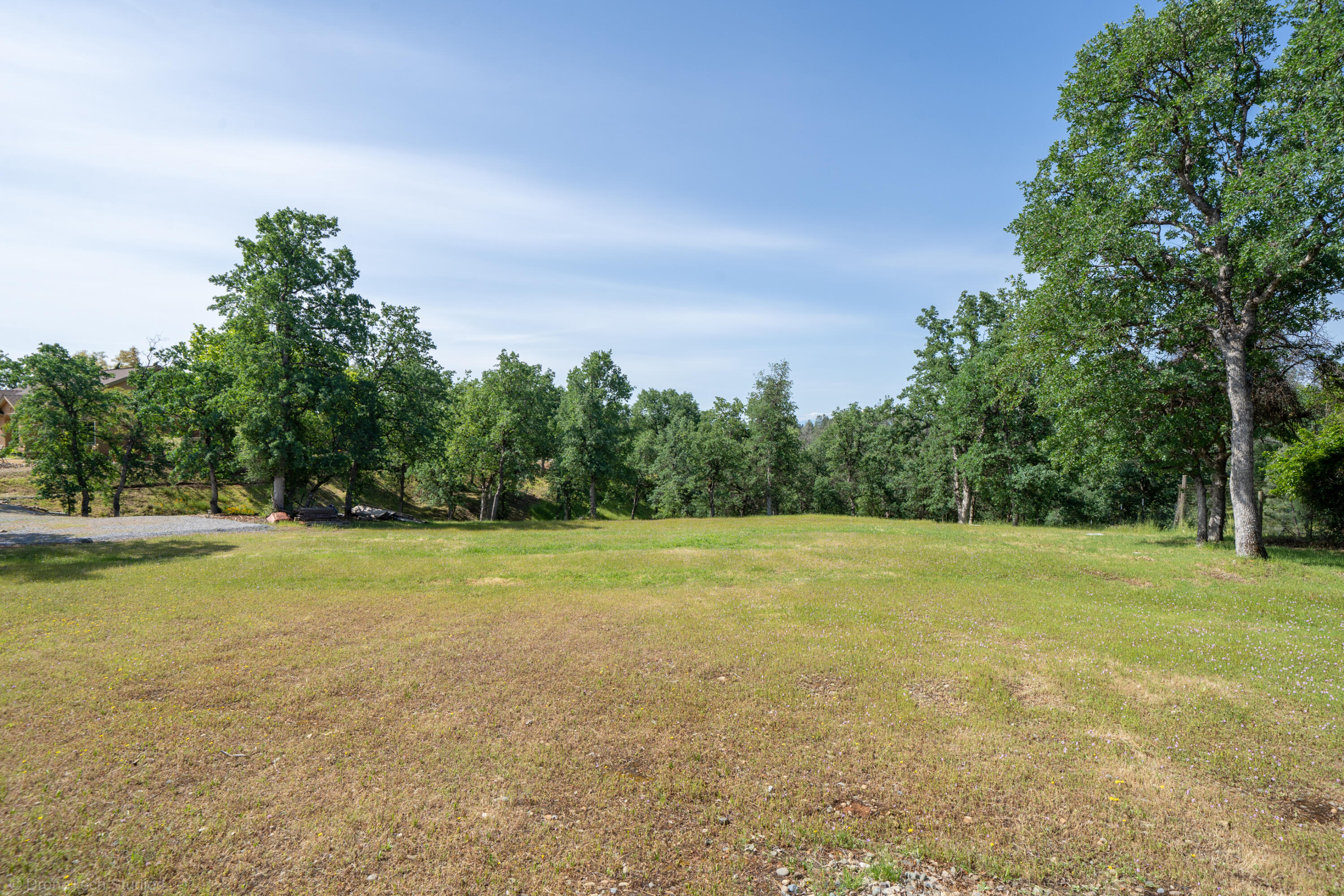 16671 Power Line Road Redding, CA 96001 - Photo 87 of 105 Field for leach lines