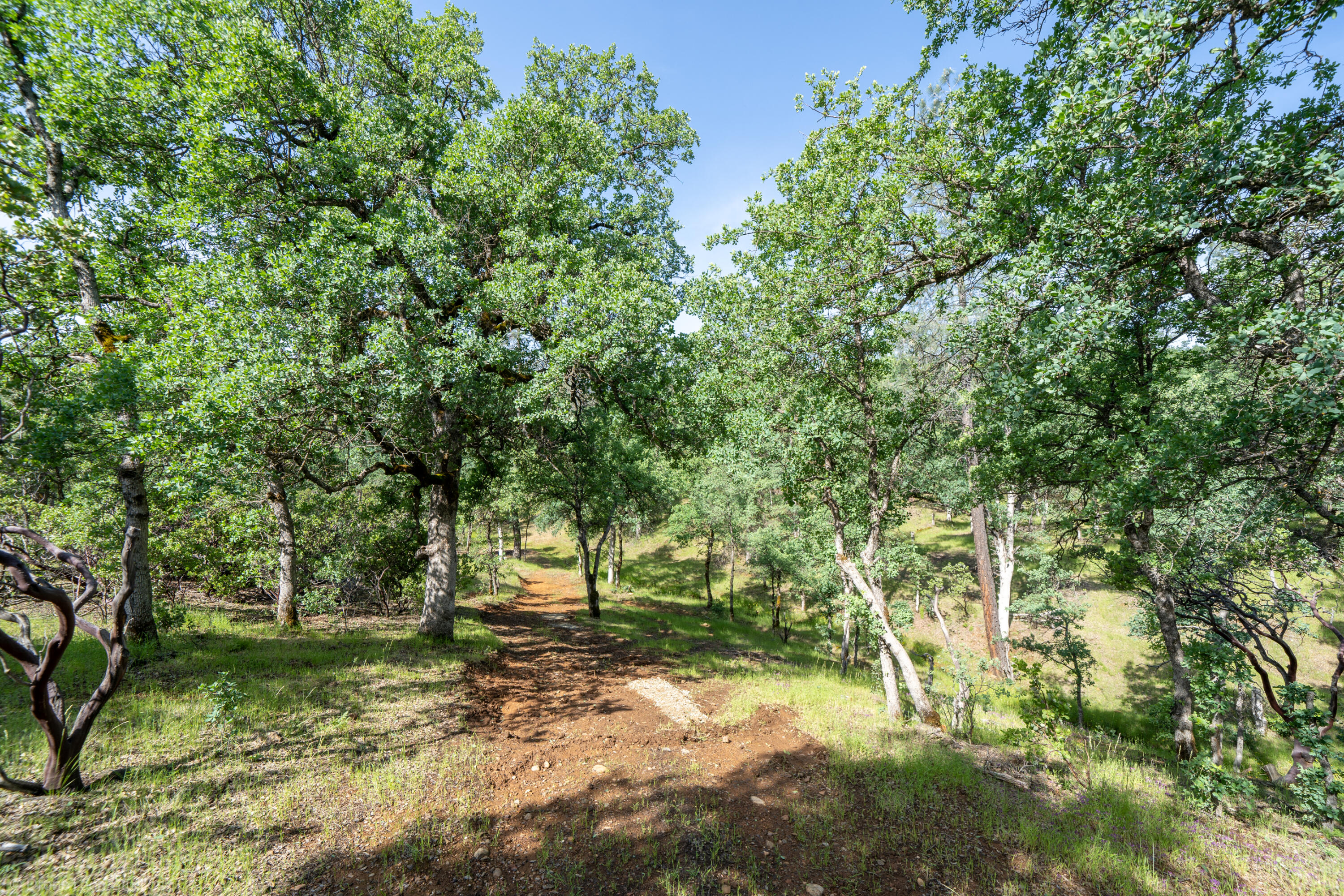 16671 Power Line Road Redding, CA 96001 - Photo 90 of 105 Wooded lot