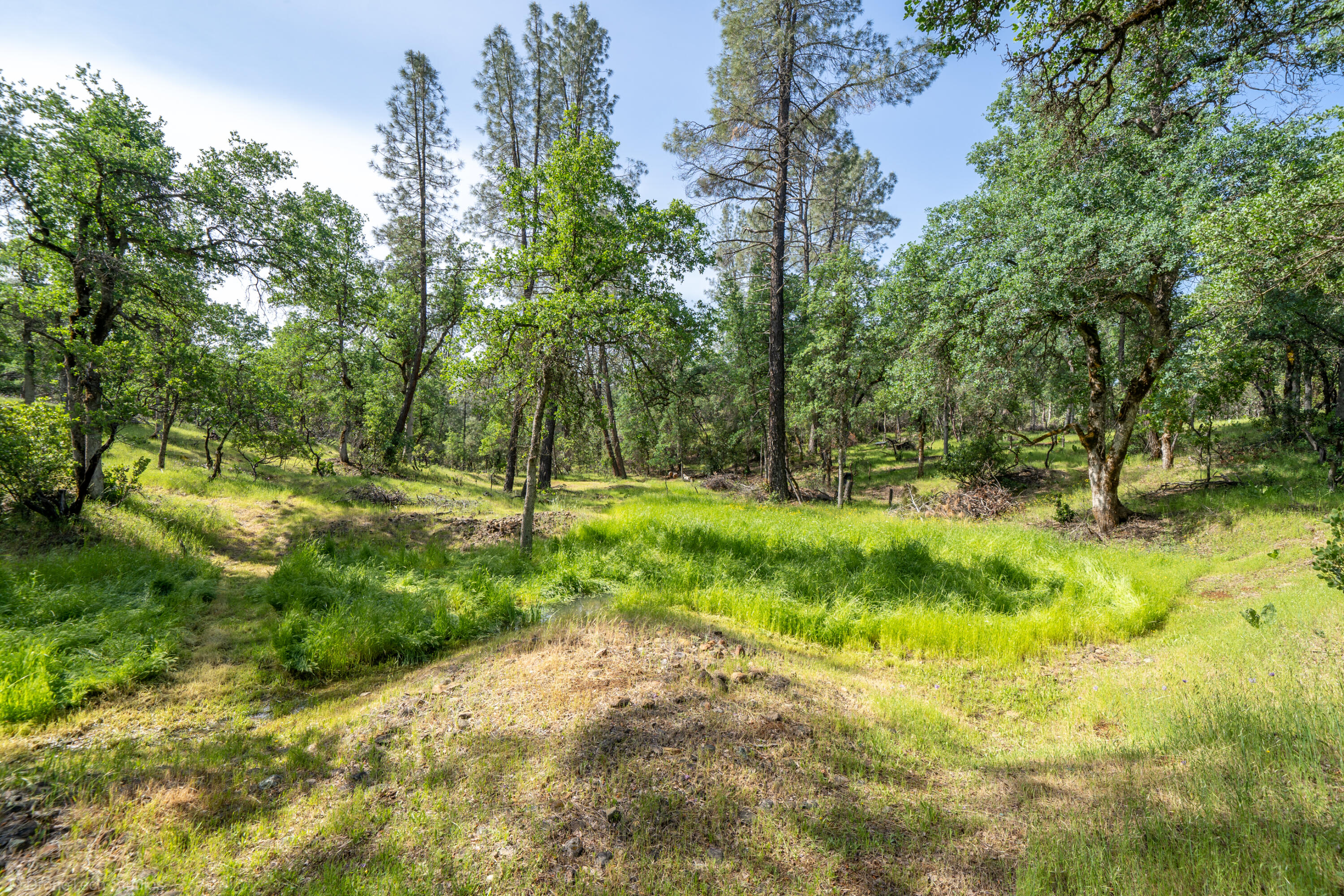 16671 Power Line Road Redding, CA 96001 - Photo 92 of 105 Your own meadow