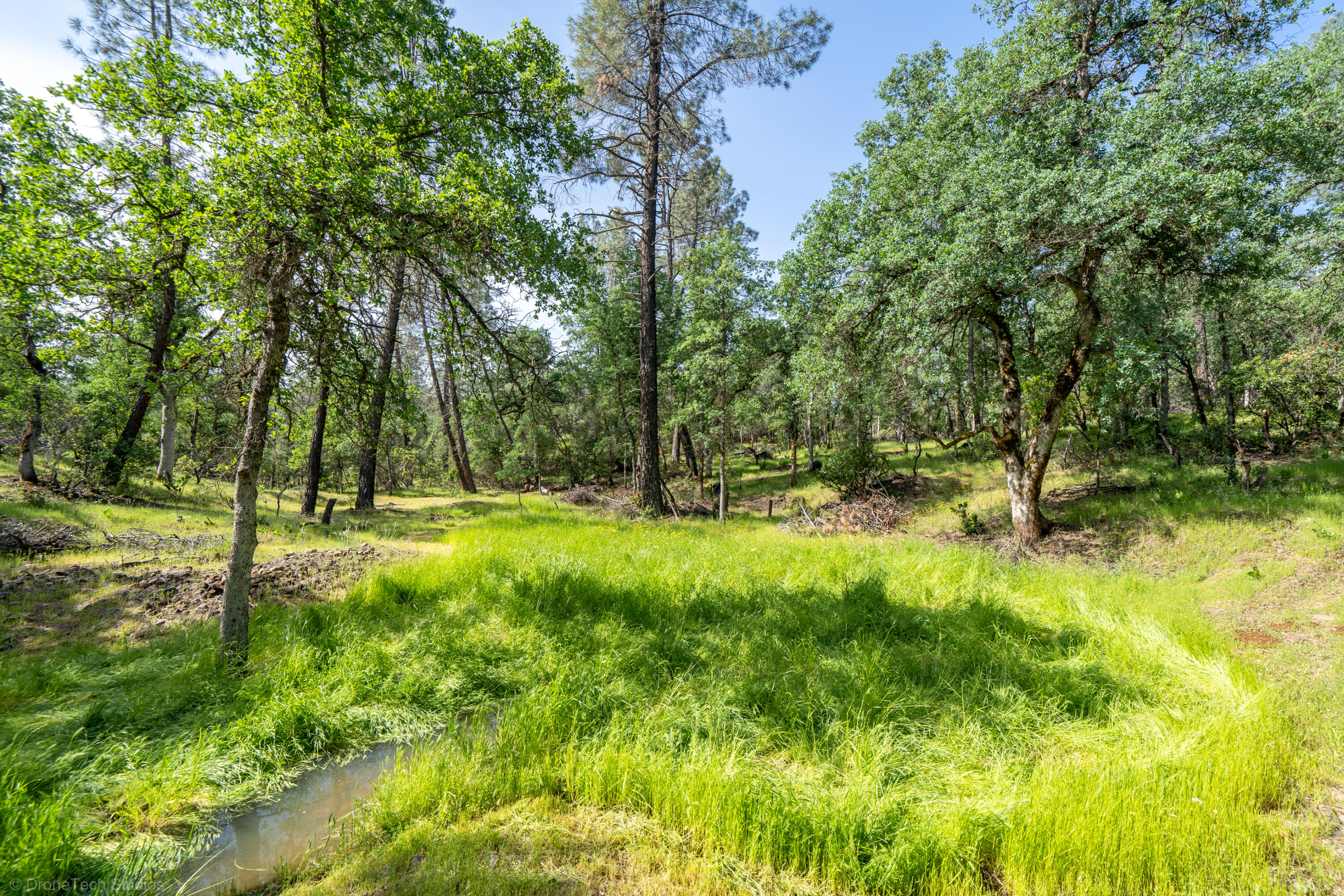 16671 Power Line Road Redding, CA 96001 - Photo 93 of 105 Lush valley
