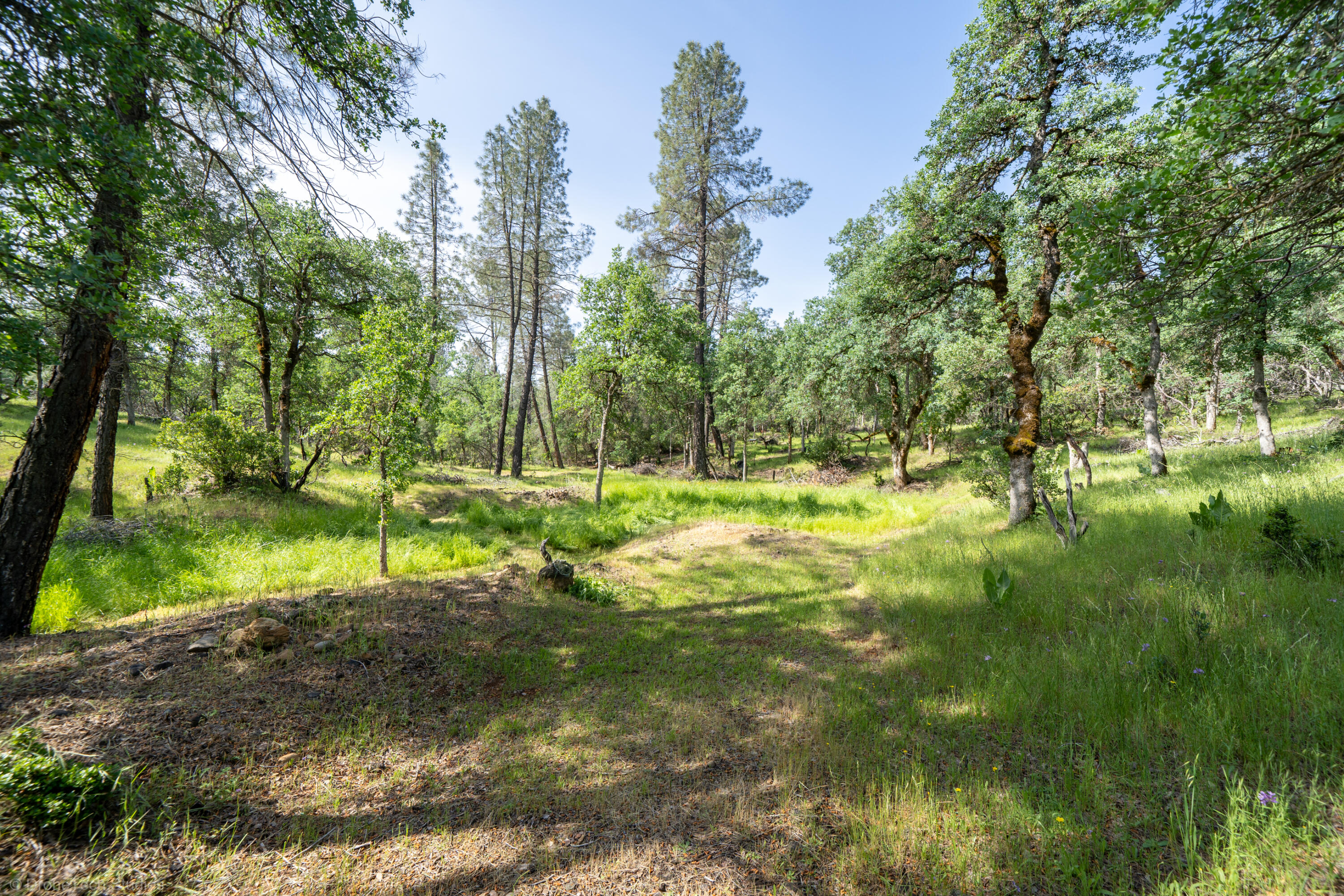 16671 Power Line Road Redding, CA 96001 - Photo 95 of 105 Road to meadow