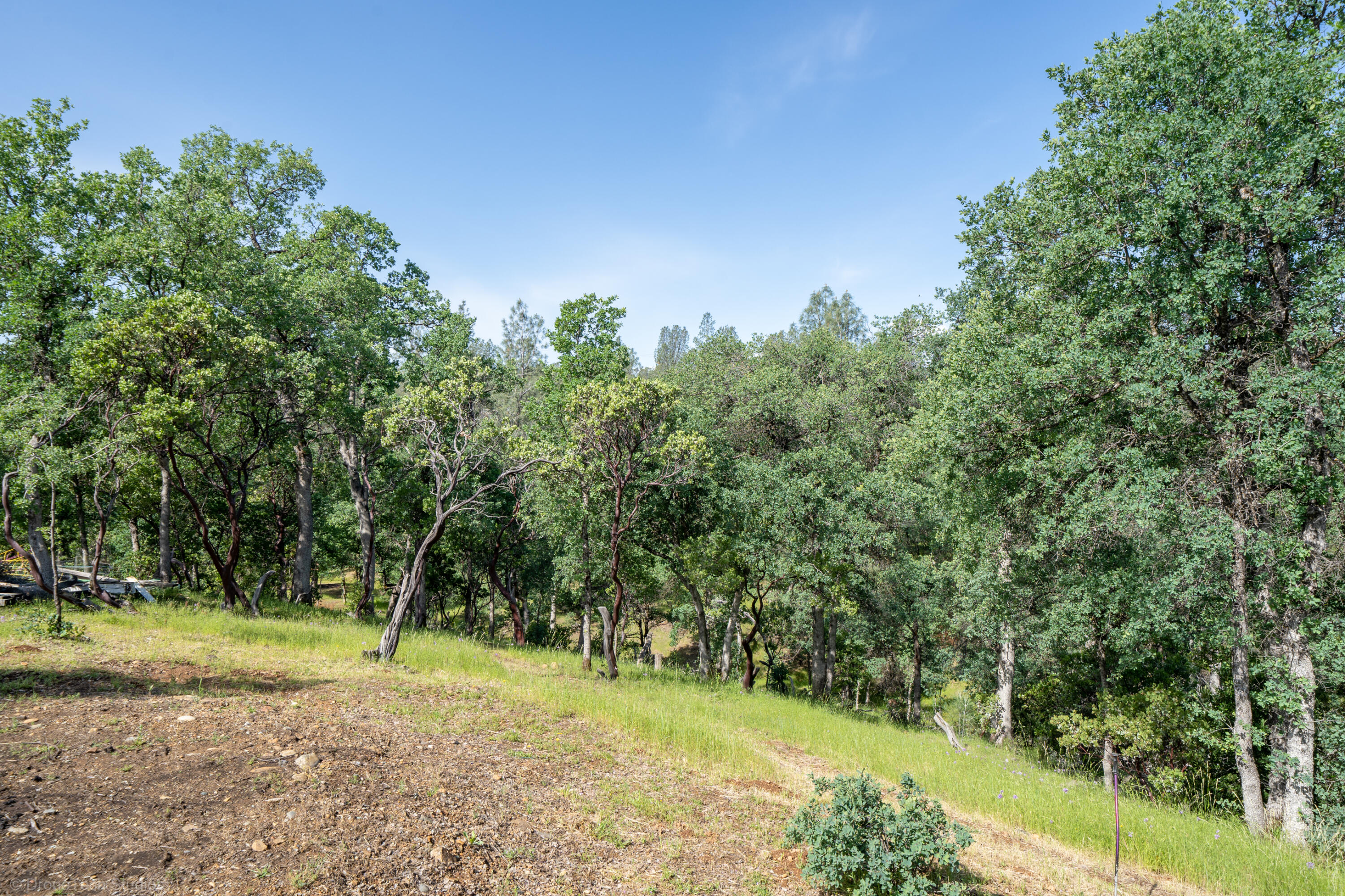16671 Power Line Road Redding, CA 96001 - Photo 97 of 105 Sloped area to draw
