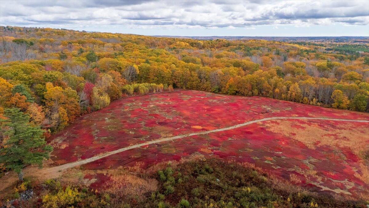 4 Map Lane Union, ME 04862 - Photo 17 of 27 Map 4 Lot 3 Clarry Hill Lane, Union