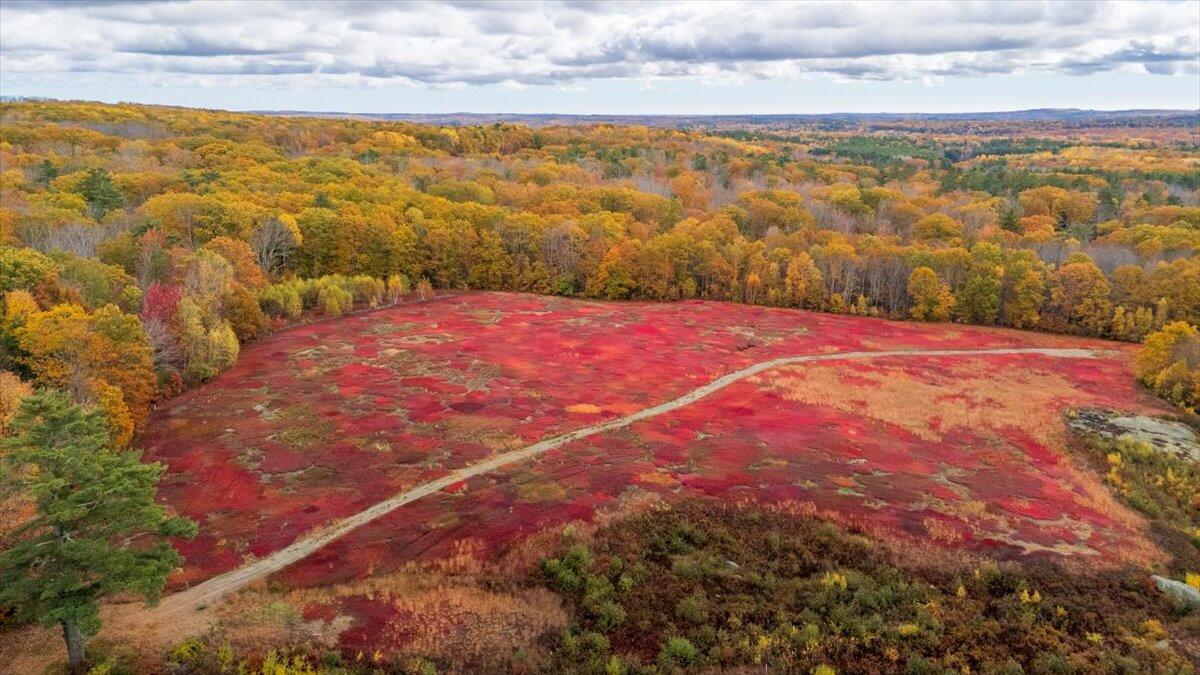 4 Map Lane Union, ME 04862 - Photo 18 of 27 Map 4 Lot 3 Clarry Hill Lane, Union