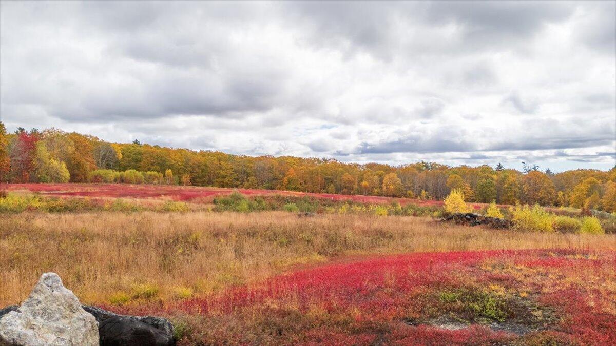 4 Map Lane Union, ME 04862 - Photo 2 of 27 Map 4 Lot 3 Clarry Hill Lane, Union