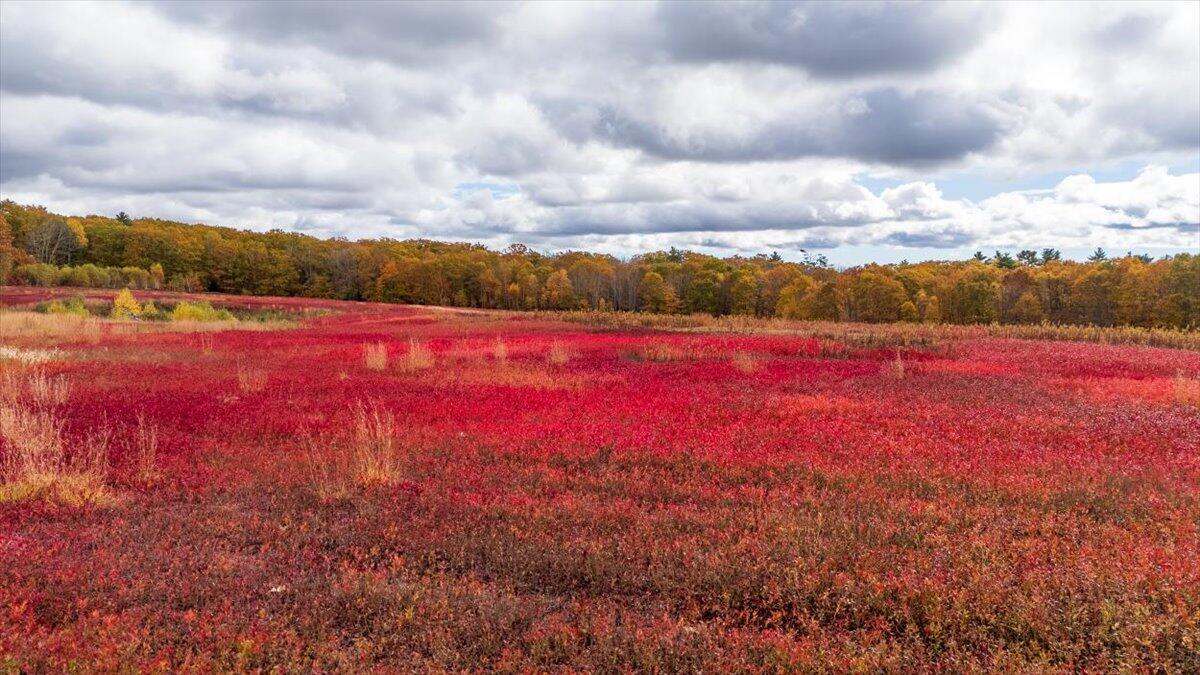 4 Map Lane Union, ME 04862 - Photo 22 of 27 Map 4 Lot 3 Clarry Hill Lane, Union