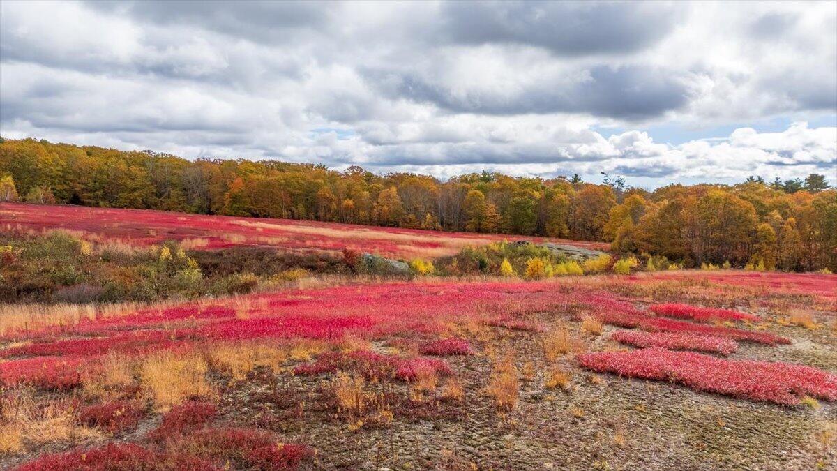 4 Map Lane Union, ME 04862 - Photo 23 of 27 Map 4 Lot 3 Clarry Hill Lane, Union