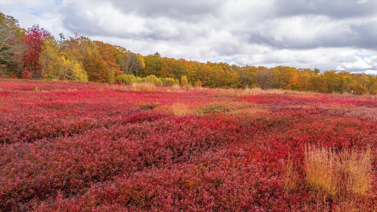 4 Map Lane Union, ME 04862 - Photo 24 of 27 Map 4 Lot 3 Clarry Hill Lane, Union