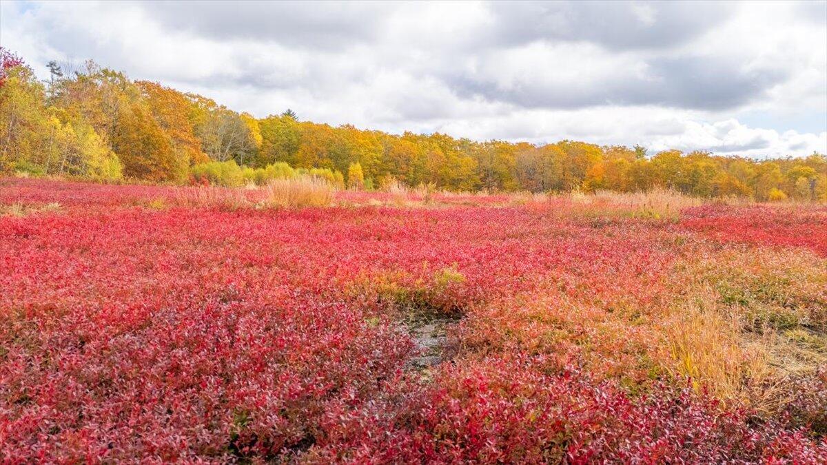 4 Map Lane Union, ME 04862 - Photo 25 of 27 Map 4 Lot 3 Clarry Hill Lane, Union