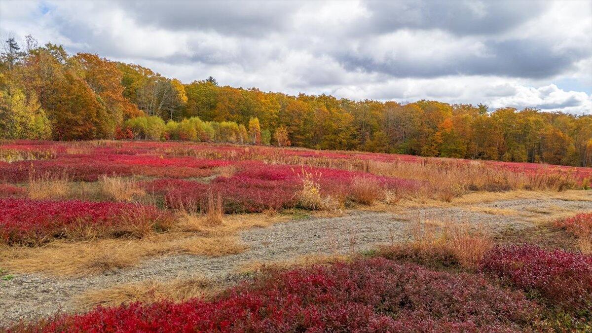 4 Map Lane Union, ME 04862 - Photo 26 of 27 Map 4 Lot 3 Clarry Hill Lane, Union