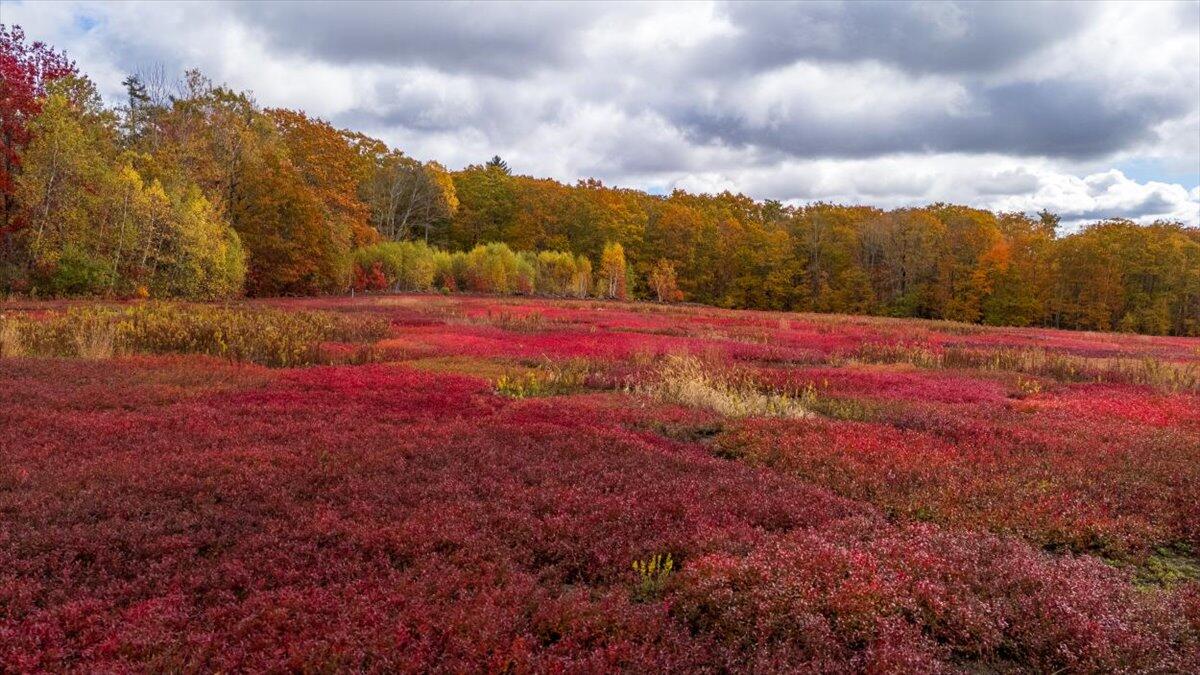 4 Map Lane Union, ME 04862 - Photo 27 of 27 39-Clary Hill Rabbit Farm-39
