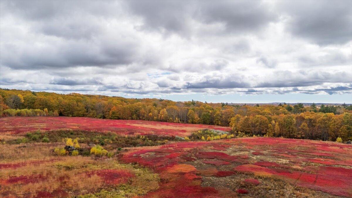 4 Map Lane Union, ME 04862 - Photo 4 of 27 Map 4 Lot 3 Clarry Hill Lane, Union