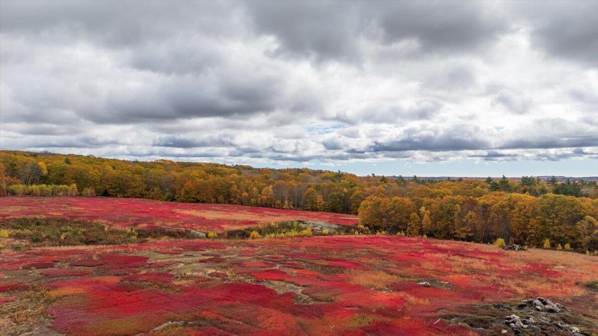 4 Map Lane Union, ME 04862 - Photo 5 of 27 Map 4 Lot 3 Clarry Hill Lane, Union