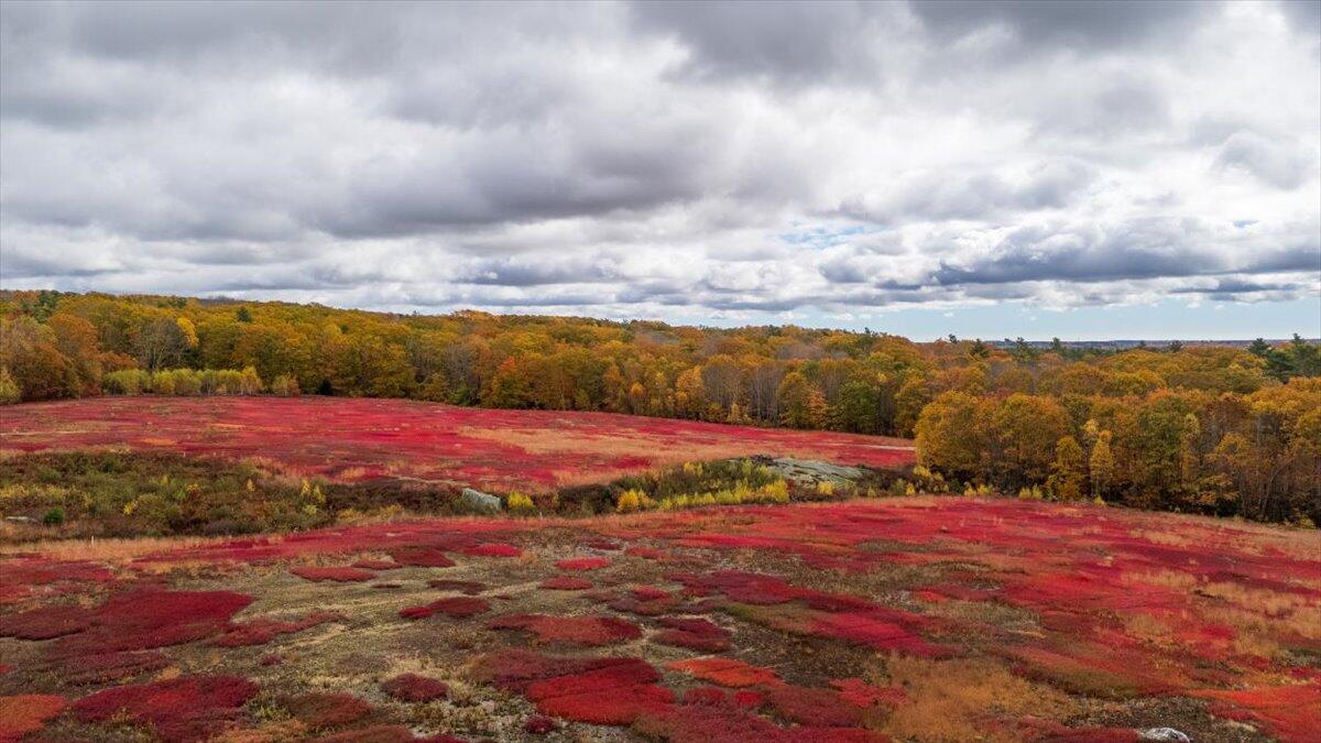 4 Map Lane Union, ME 04862 - Photo 7 of 27 Map 4 Lot 3 Clarry Hill Lane, Union