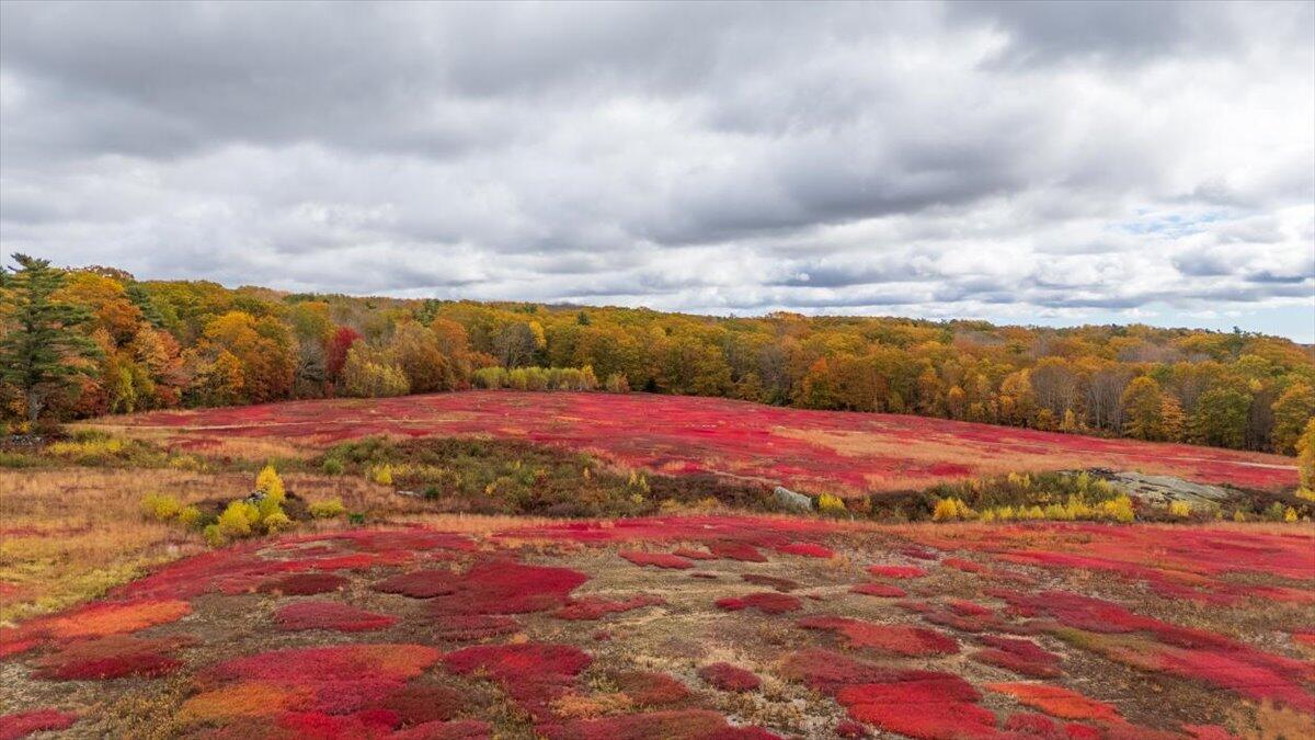 4 Map Lane Union, ME 04862 - Photo 8 of 27 Map 4 Lot 3 Clarry Hill Lane, Union