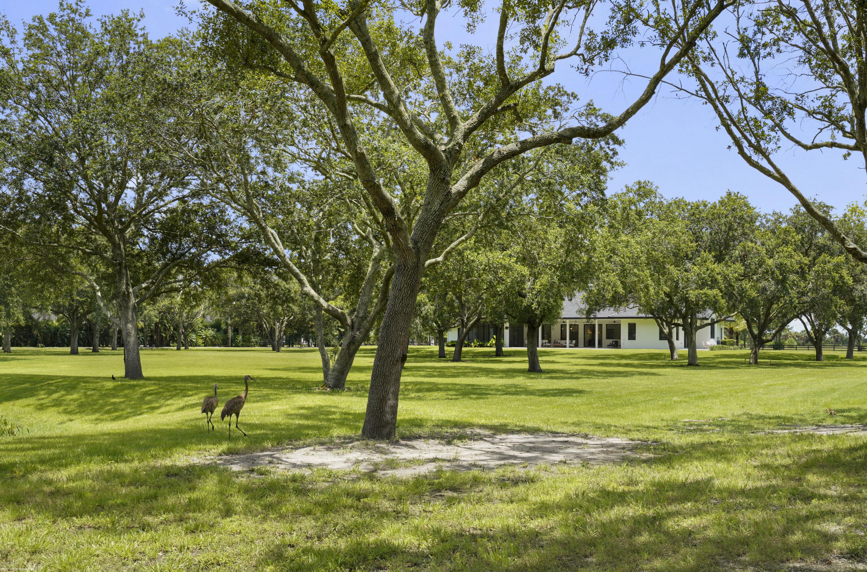 16451 Norris Road Wellington, FL 33470 - Photo 63 of 91 16451 Norris Rd 082