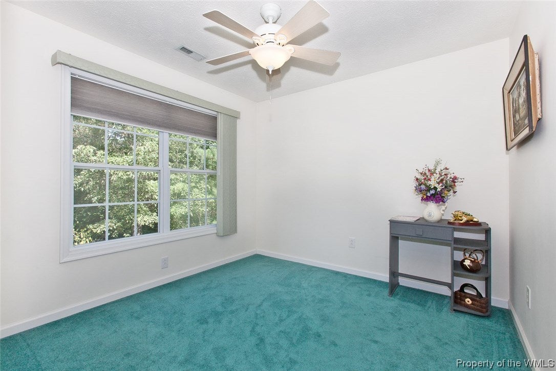 3401 Vaidens Pond Road Lanexa, VA 23089 - Photo 26 of 31 Gallery Image 26