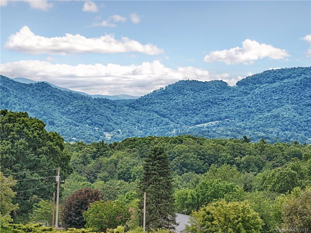 1202 Chambers Mountain Road Clyde, NC 28721 - Photo 2 of 12
