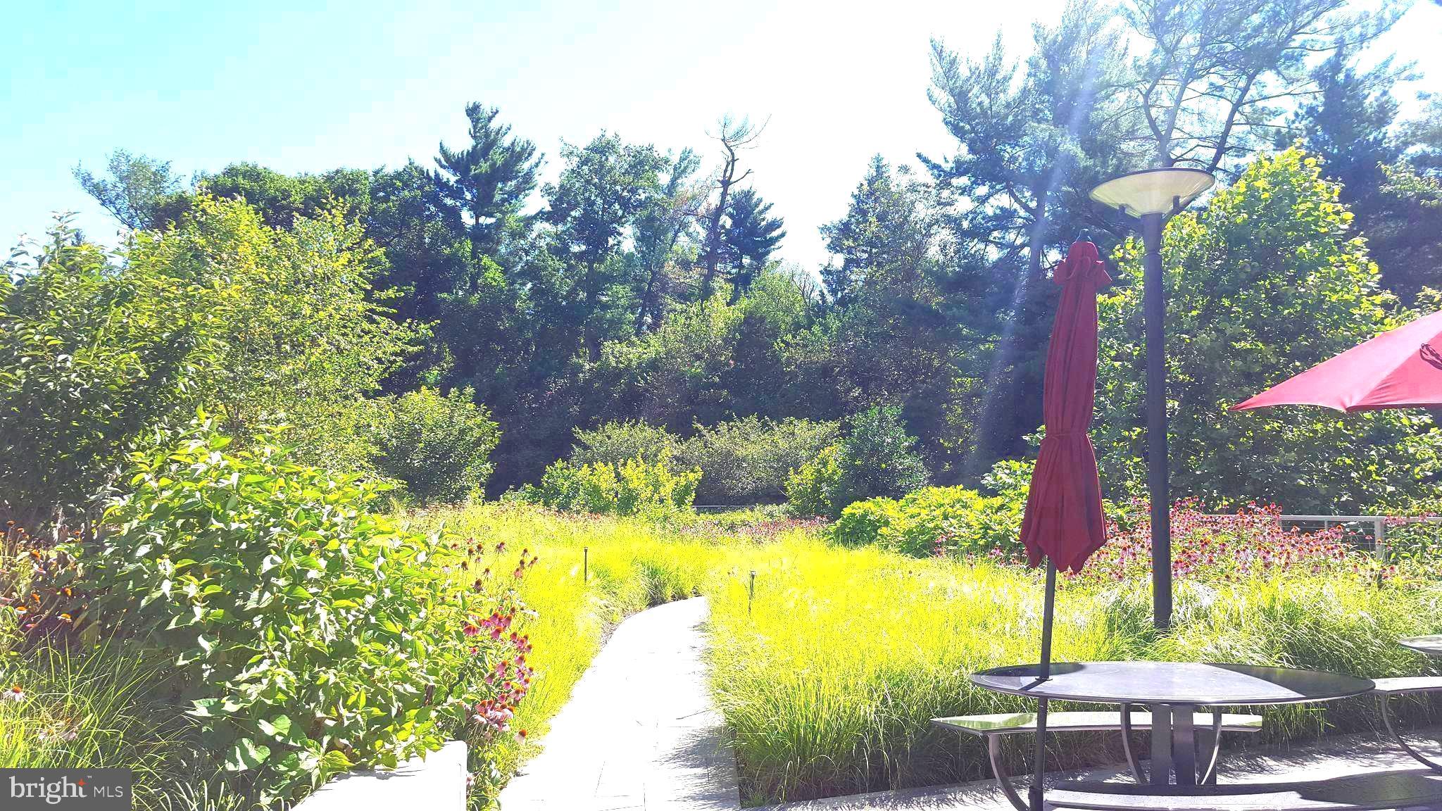 5101 River Road, Unit 1815 Bethesda, MD 20816 - Photo 34 of 35 Picnic Area