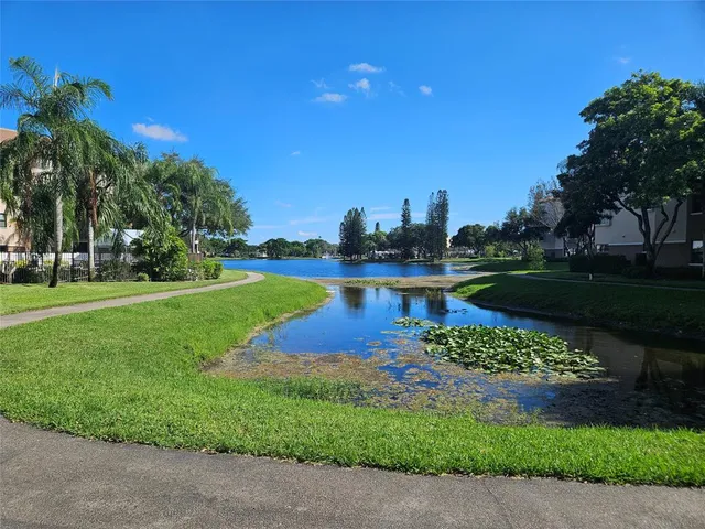 a view of a park with plants and trees