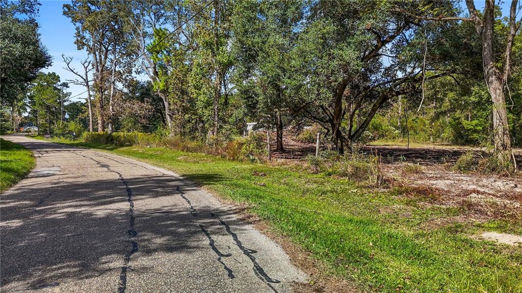 0 Bennett Road Holden, LA 70744 - Photo 9 of 13