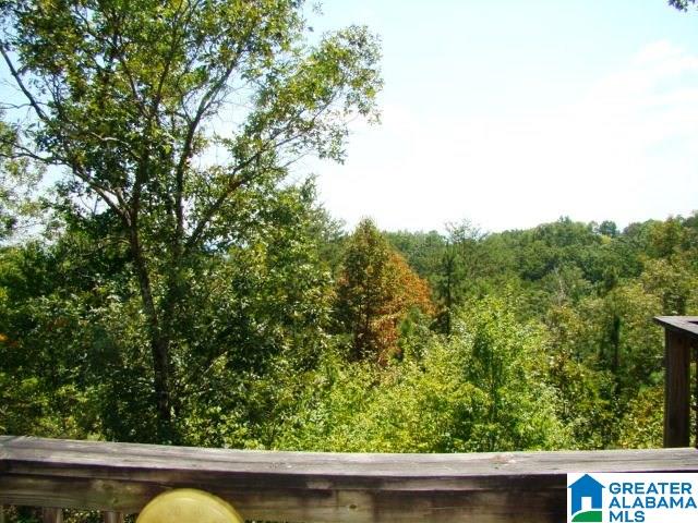 307 Laurel Springs Road Anniston, AL 36207 - Photo 26 of 30