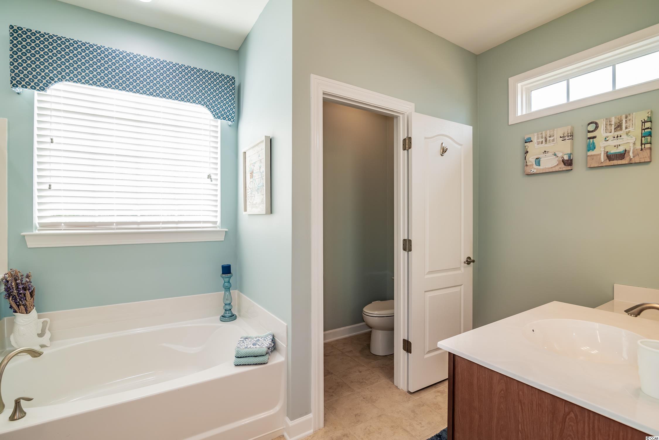 697 Harbor Bay Drive Murrells Inlet, SC 29576 - Photo 19 of 38 Gallery Image 19