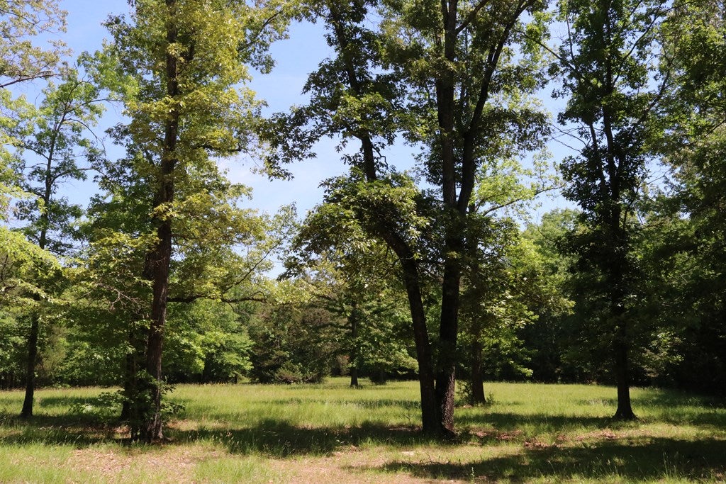 260 Asal Road Farmville, VA 23901 - Photo 33 of 34 Gallery Image 33