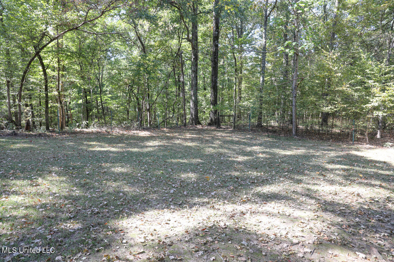 991 Witherspoon Road Yazoo City, MS 39194 - Photo 14 of 64 13.