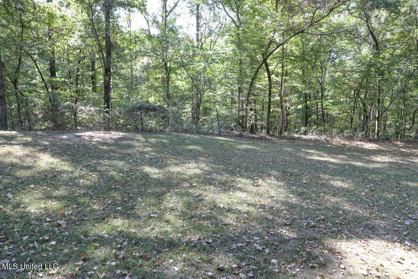 991 Witherspoon Road Yazoo City, MS 39194 - Photo 15 of 64 14.