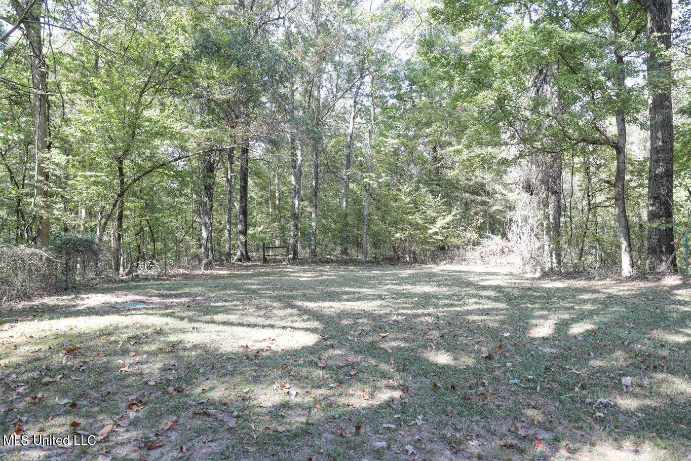 991 Witherspoon Road Yazoo City, MS 39194 - Photo 17 of 64 16.