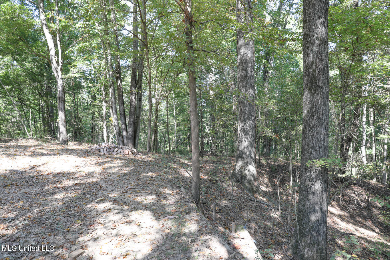 991 Witherspoon Road Yazoo City, MS 39194 - Photo 39 of 64 38.