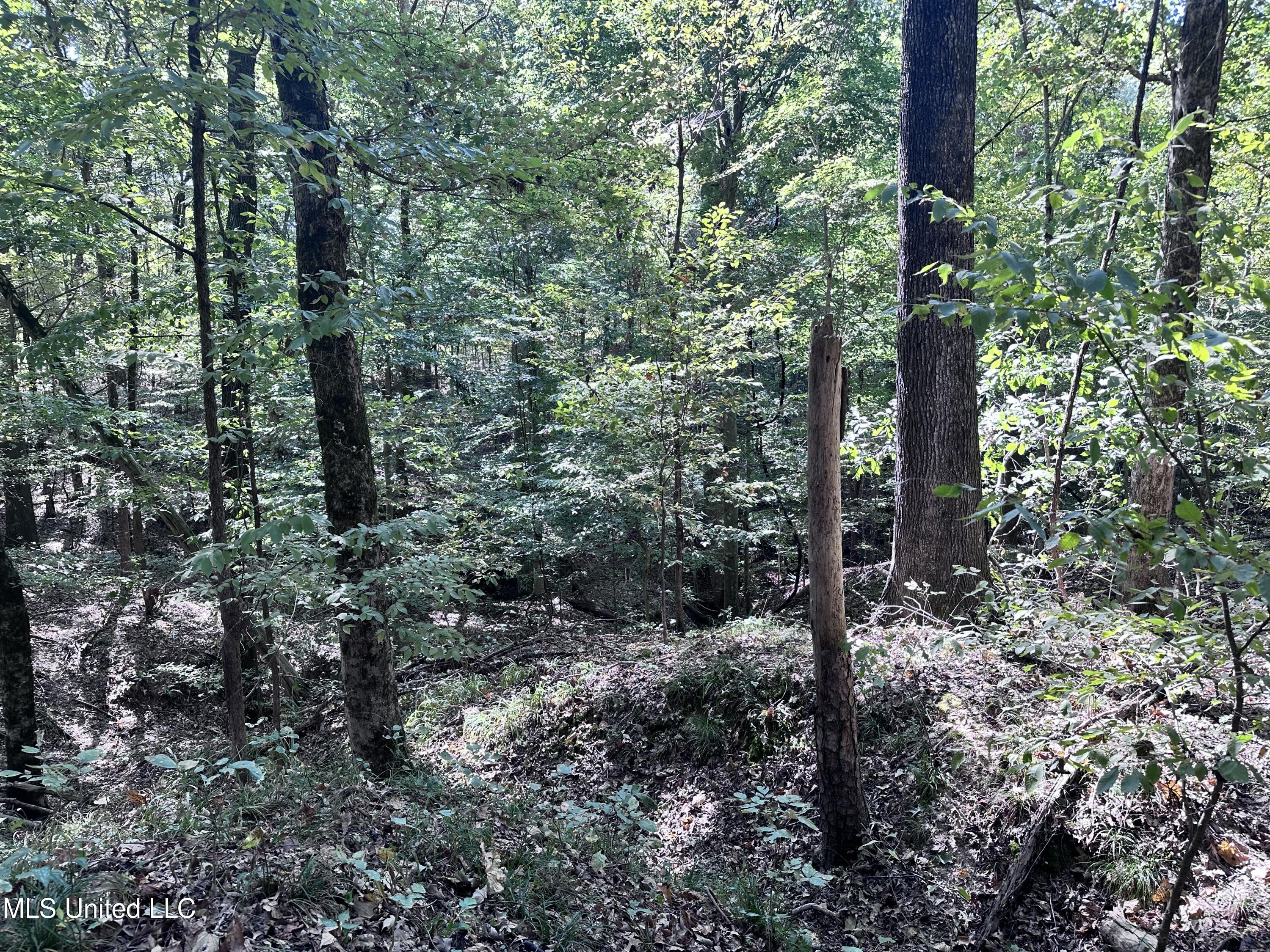 991 Witherspoon Road Yazoo City, MS 39194 - Photo 40 of 64 39.