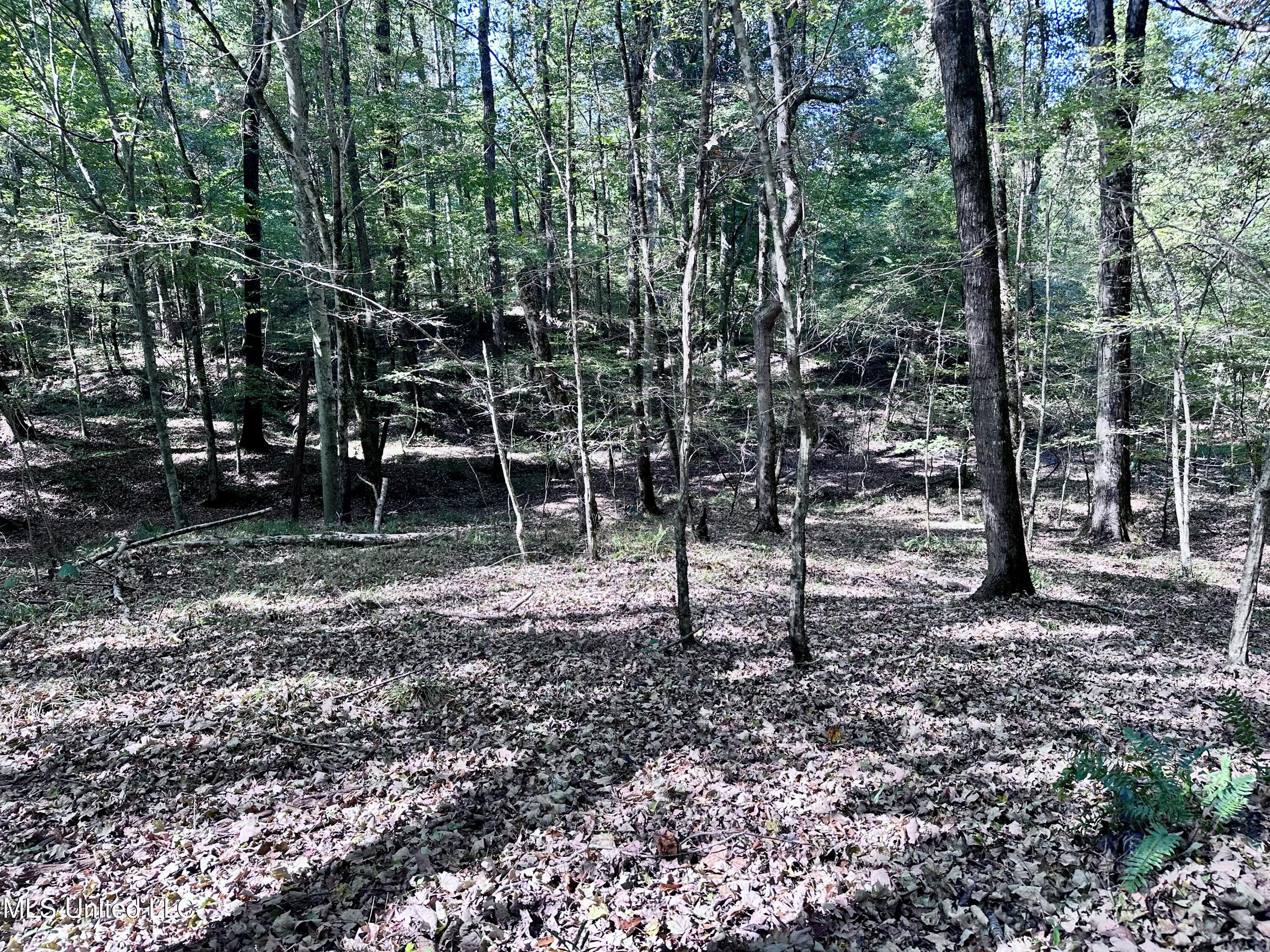991 Witherspoon Road Yazoo City, MS 39194 - Photo 47 of 64 46.