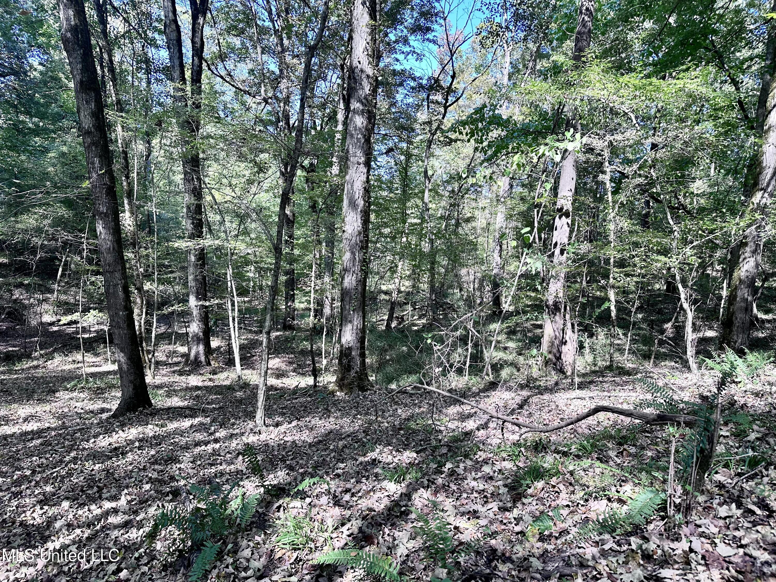 991 Witherspoon Road Yazoo City, MS 39194 - Photo 48 of 64 47.