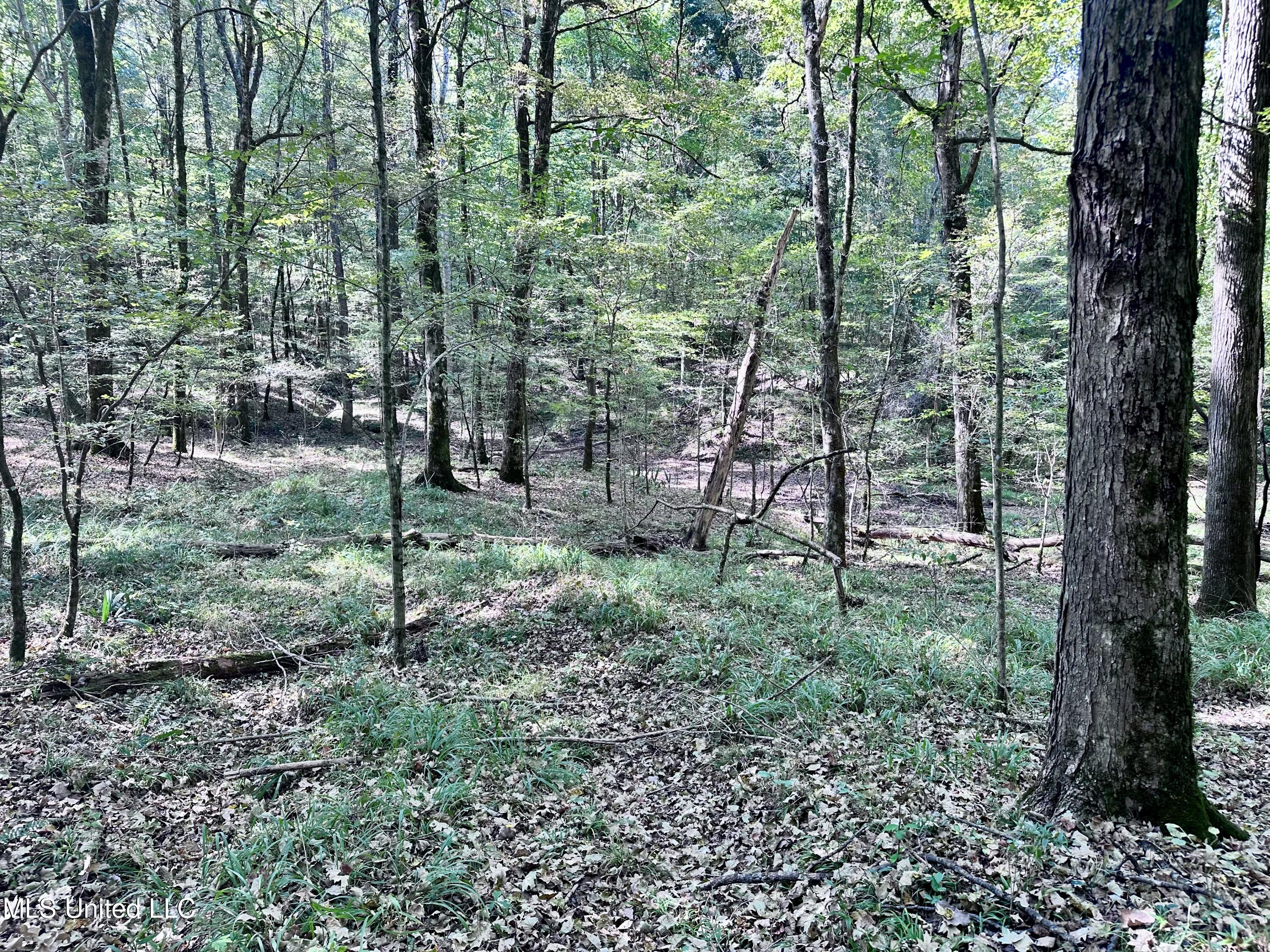 991 Witherspoon Road Yazoo City, MS 39194 - Photo 49 of 64 48.