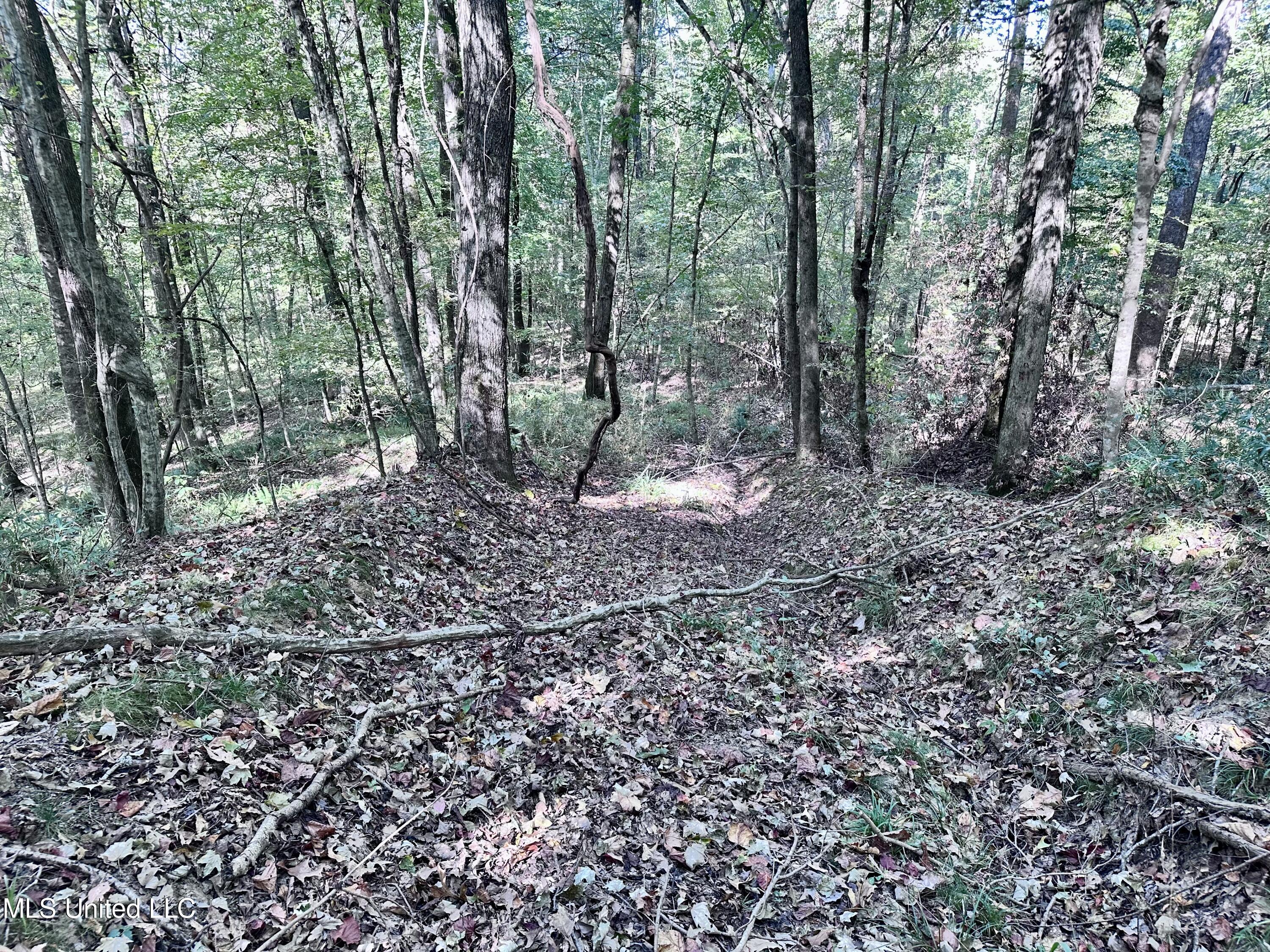 991 Witherspoon Road Yazoo City, MS 39194 - Photo 53 of 64 52.